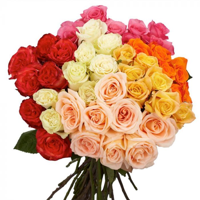 Assorted Color Standard Rose